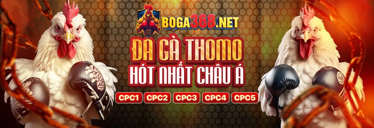 Sòng bạc trực tuyến với đá gà trực tiếp ngày hôm nay